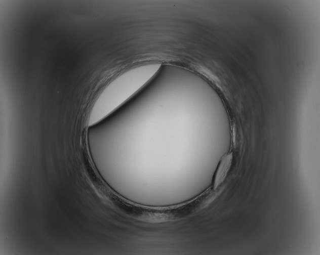 X0000085050205200703051052