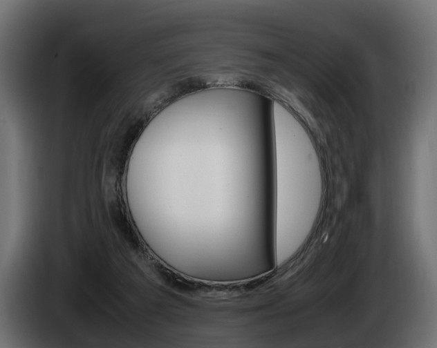 X0000085050209200703051051