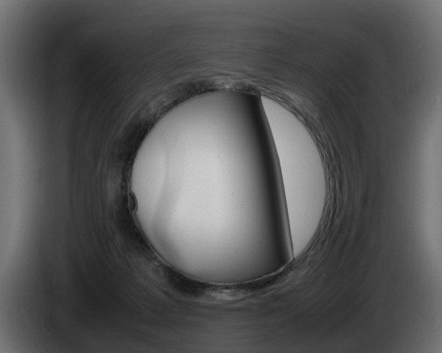 X0000085050221200703051051