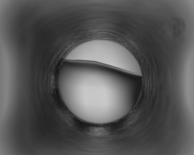 X0000085050224200703051051