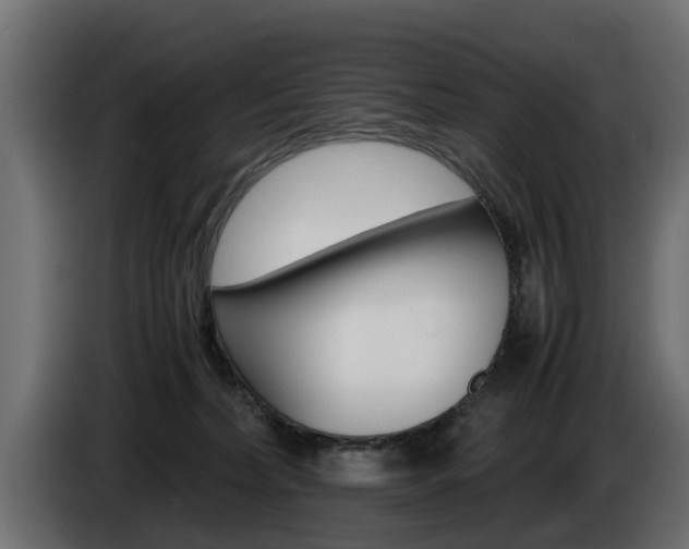 X0000085050228200703051051