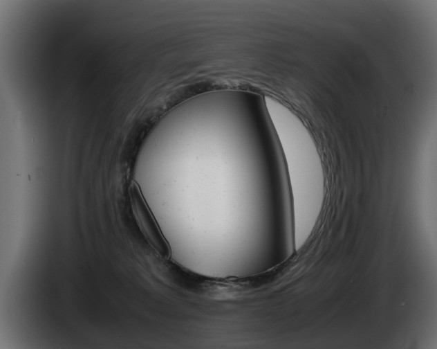 X0000085050229200703051051
