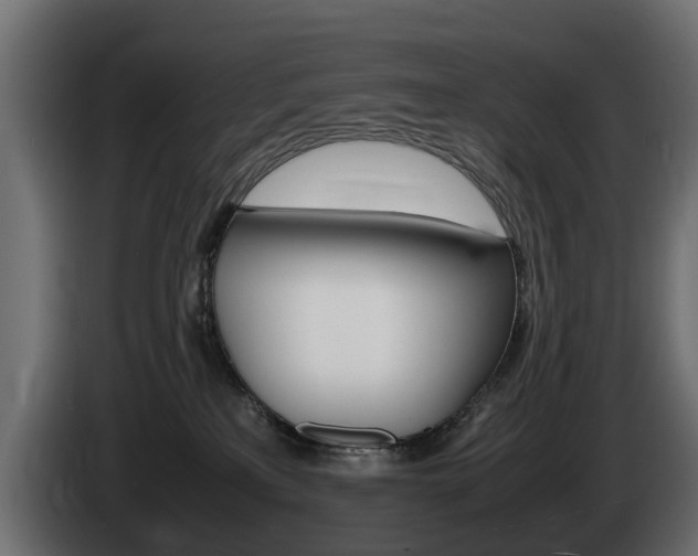 X0000085050233200703051051