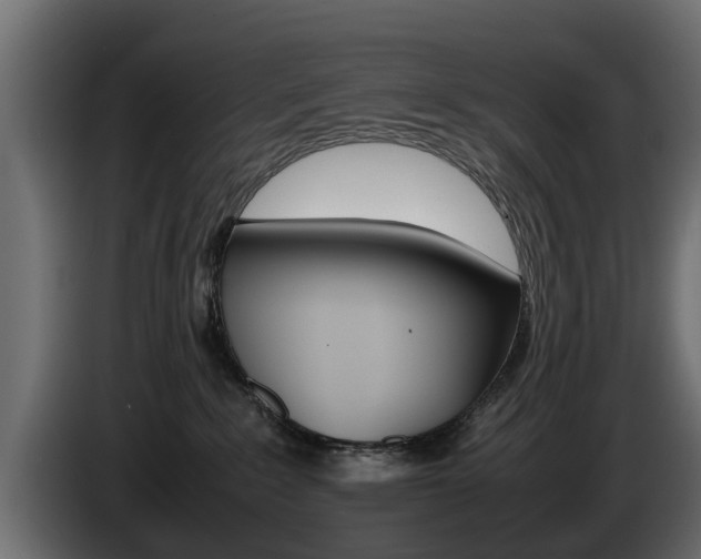 X0000085050235200703051051