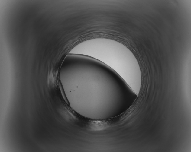 X0000085050239200703051051