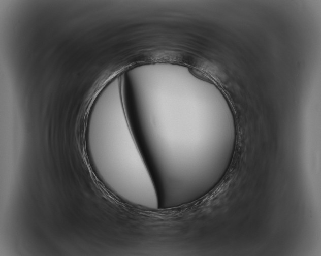 X0000085050241200703051050