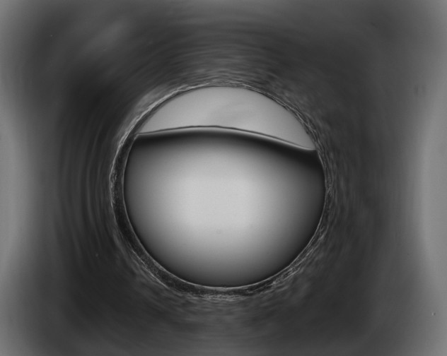 X0000085050242200703051050