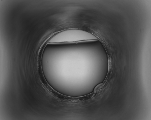 X0000085050243200703051051