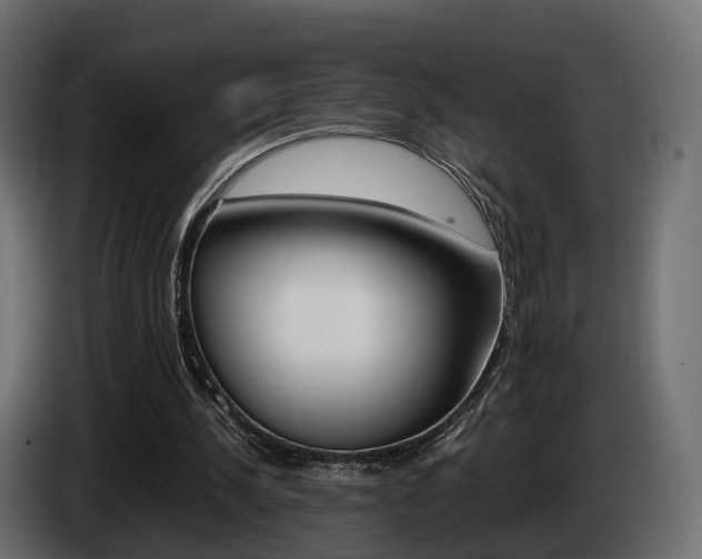 X0000085050244200703051051