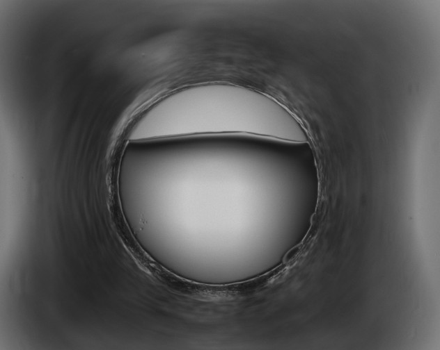 X0000085050245200703051051