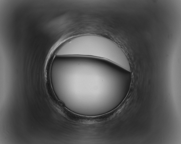 X0000085050246200703051051