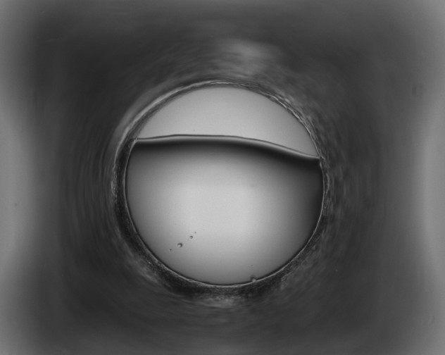 X0000085050247200703051051