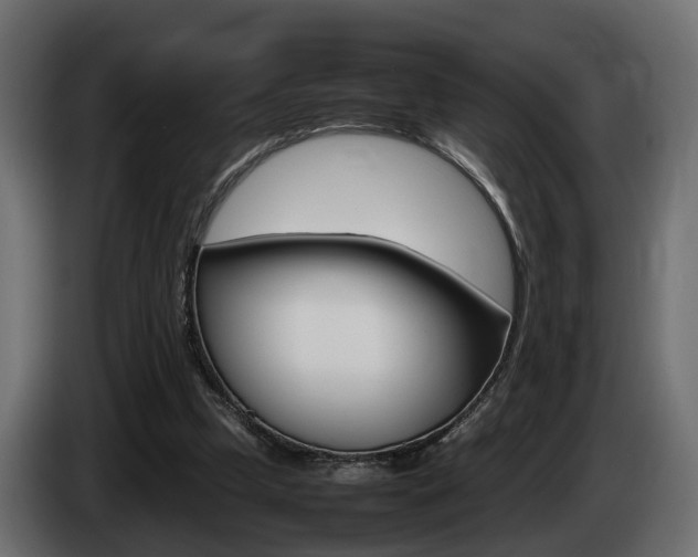 X0000085050249200703051051