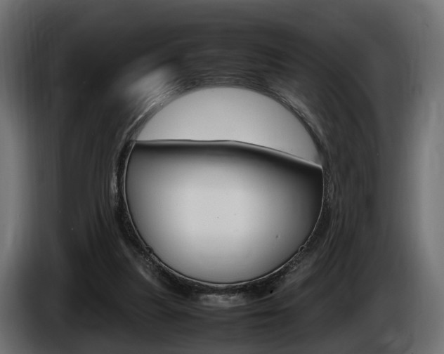 X0000085050251200703051051