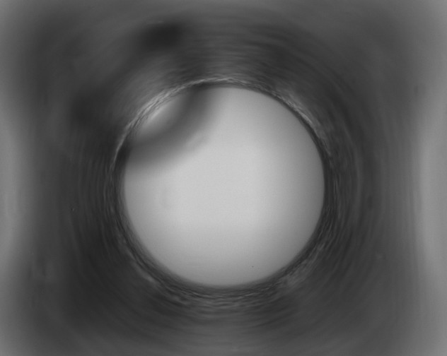 X0000085050252200703051051