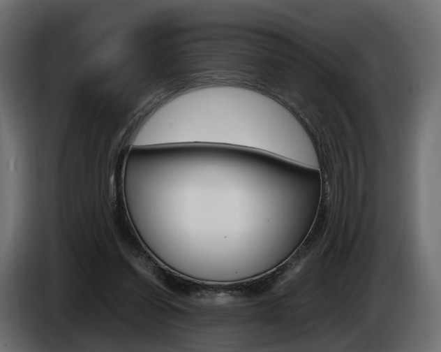 X0000085050254200703051051
