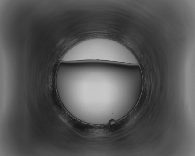 X0000085050255200703051051