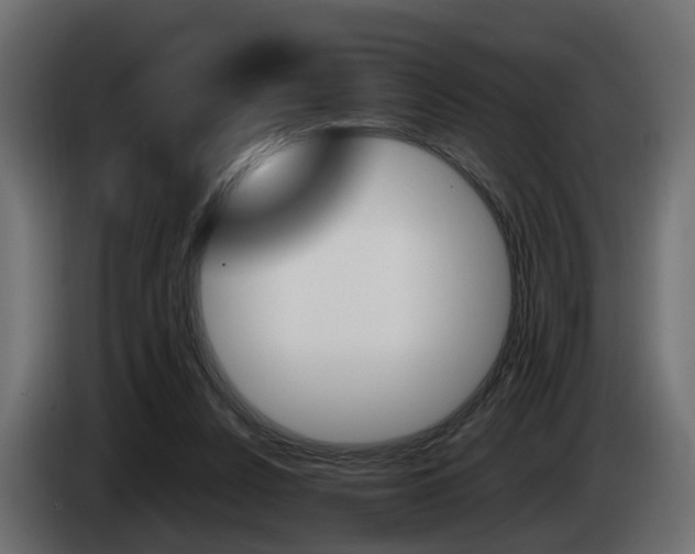 X0000085050256200703051051