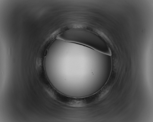 X0000085050260200703051051