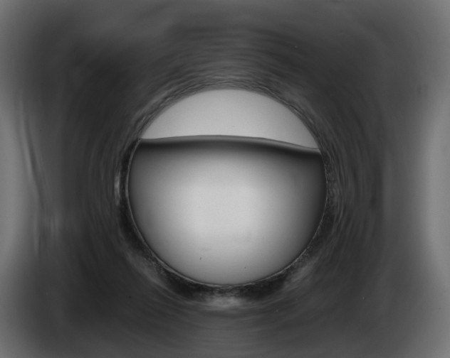 X0000085050262200703051051
