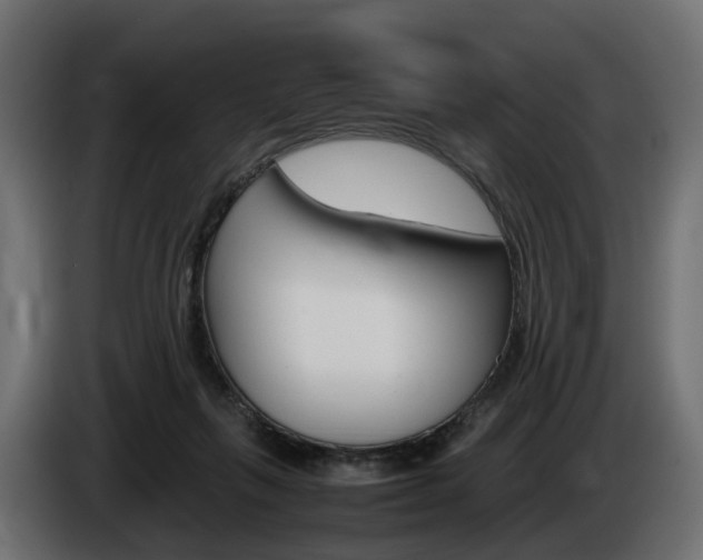 X0000085050263200703051051