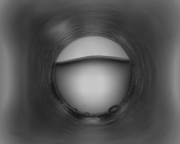 X0000085050266200703051051