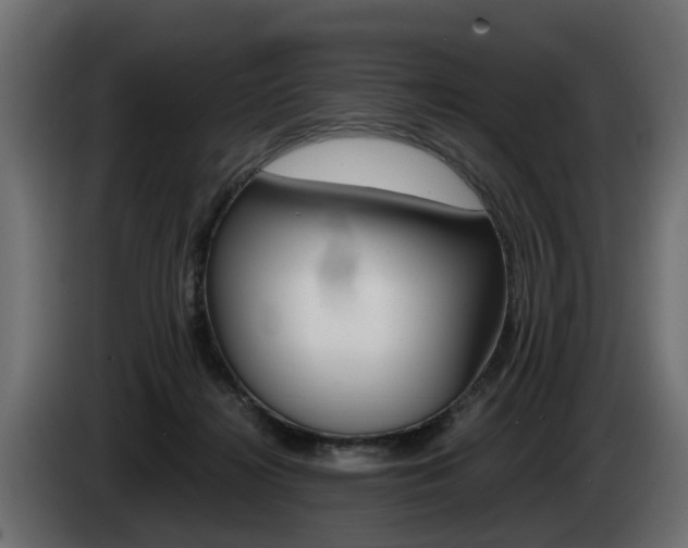 X0000085050268200703051051