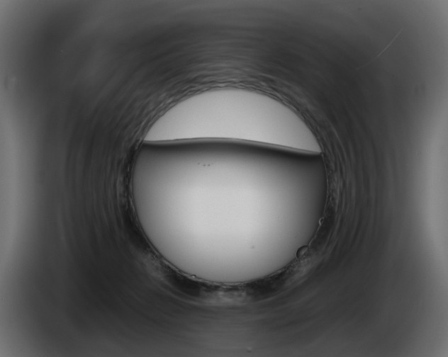 X0000085050270200703051051