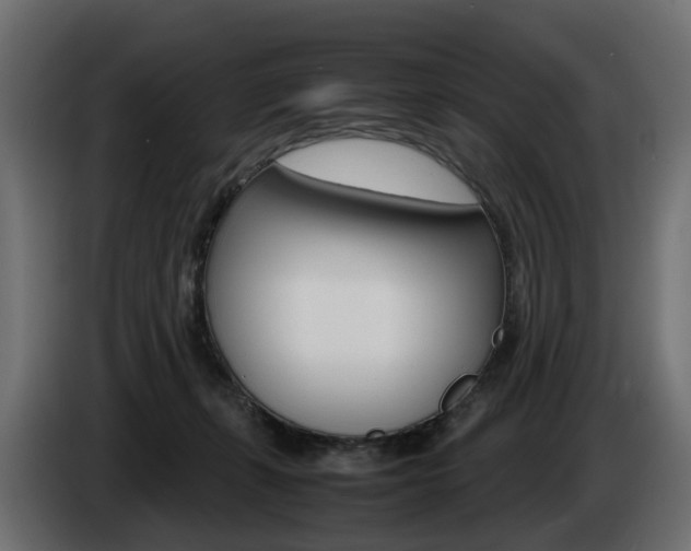 X0000085050271200703051051