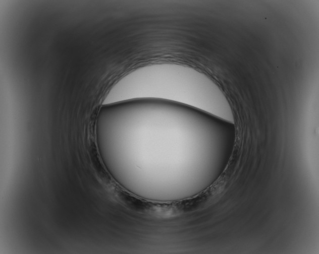 X0000085050272200703051051