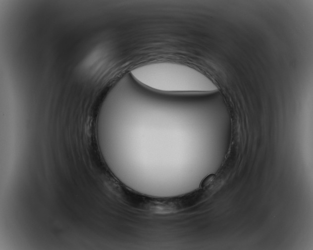 X0000085050275200703051051