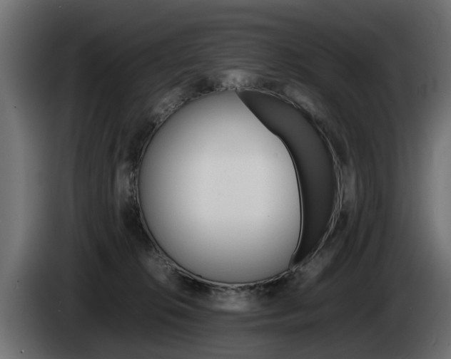 X0000085050276200703051051
