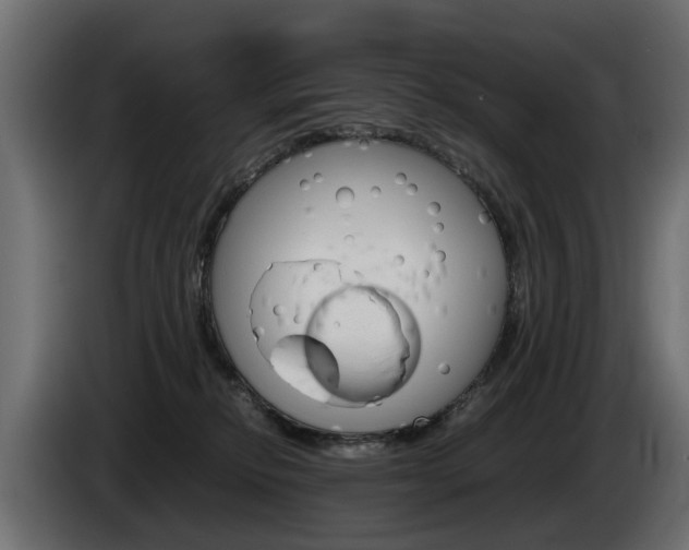 X0000085050278200703051051