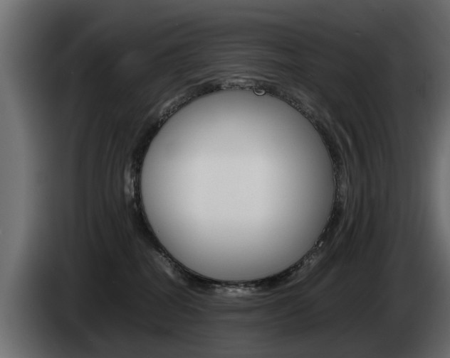 X0000085050282200703051051