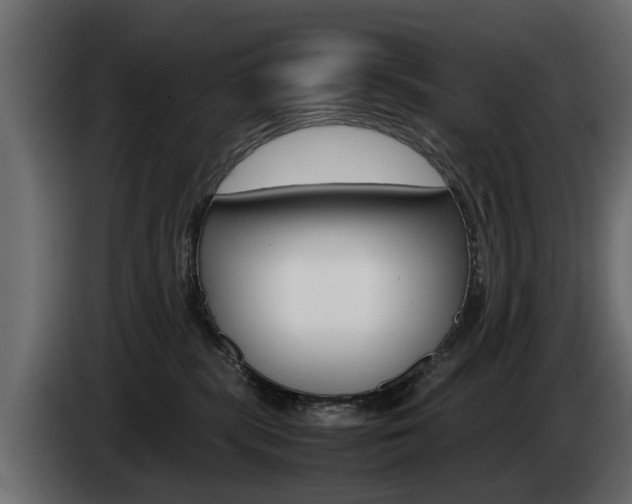 X0000085050283200703051051