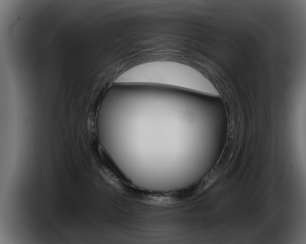 X0000085050284200703051051