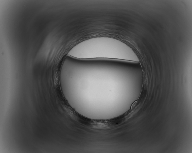 X0000085050285200703051051