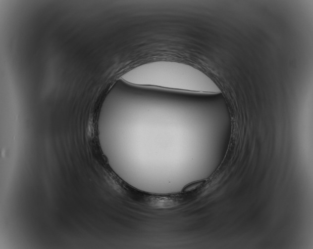 X0000085050287200703051051