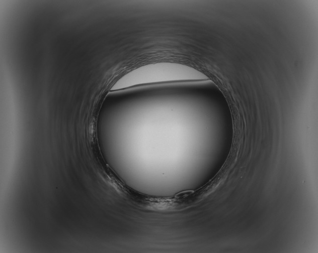 X0000085050288200703051051