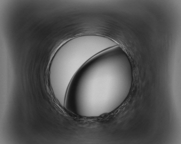 X0000085050289200703051050