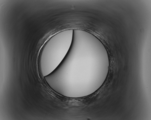 X0000085050290200703051050