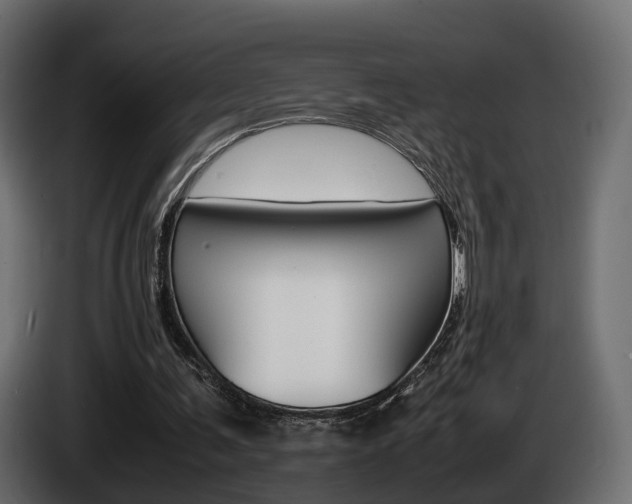 X0000085050291200703051050