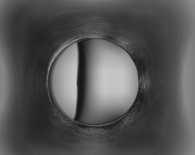 X0000085050292200703051050