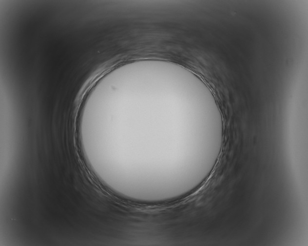X0000085050293200703051050