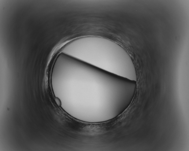 X0000085050294200703051050