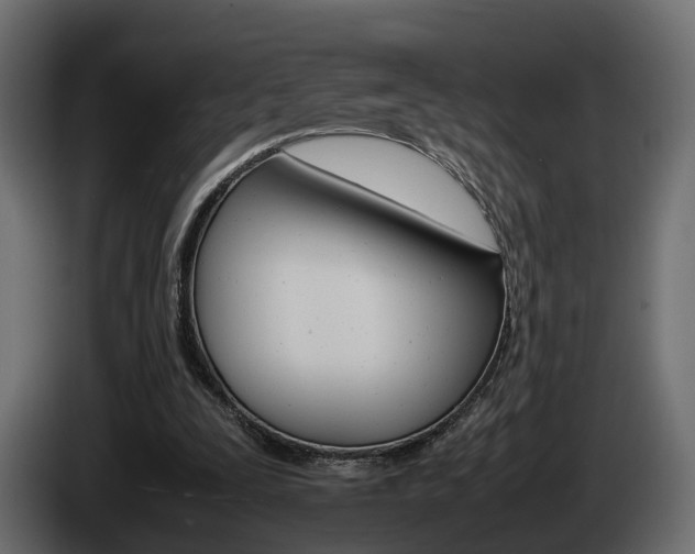 X0000085050295200703051050
