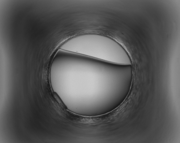 X0000085050297200703051050
