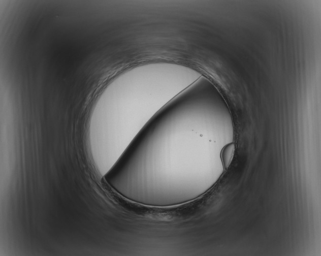 X0000085050299200703051050