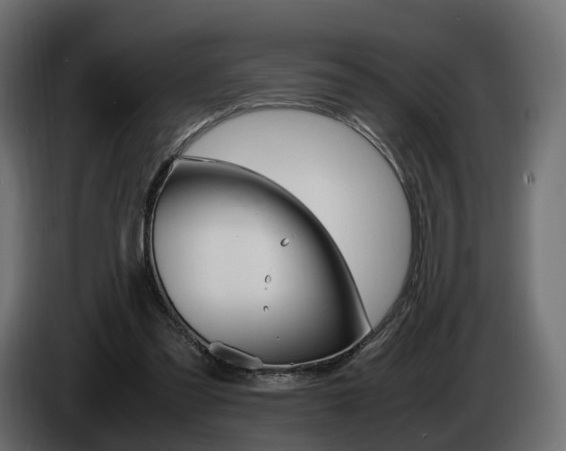 X0000085050301200703051050