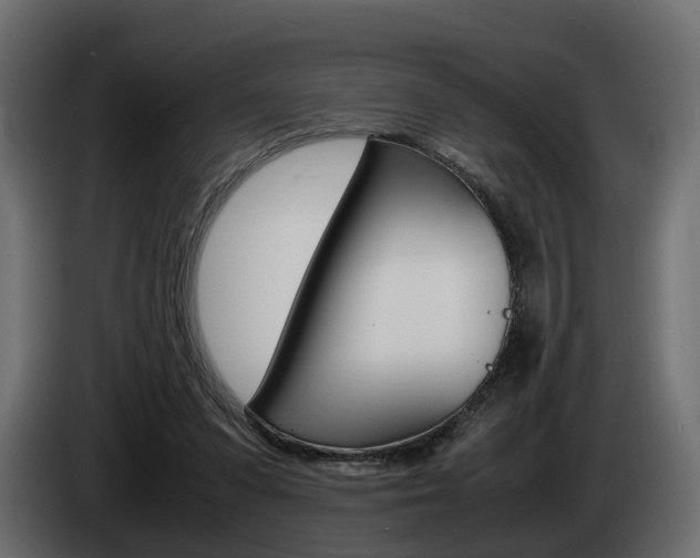 X0000085050303200703051050